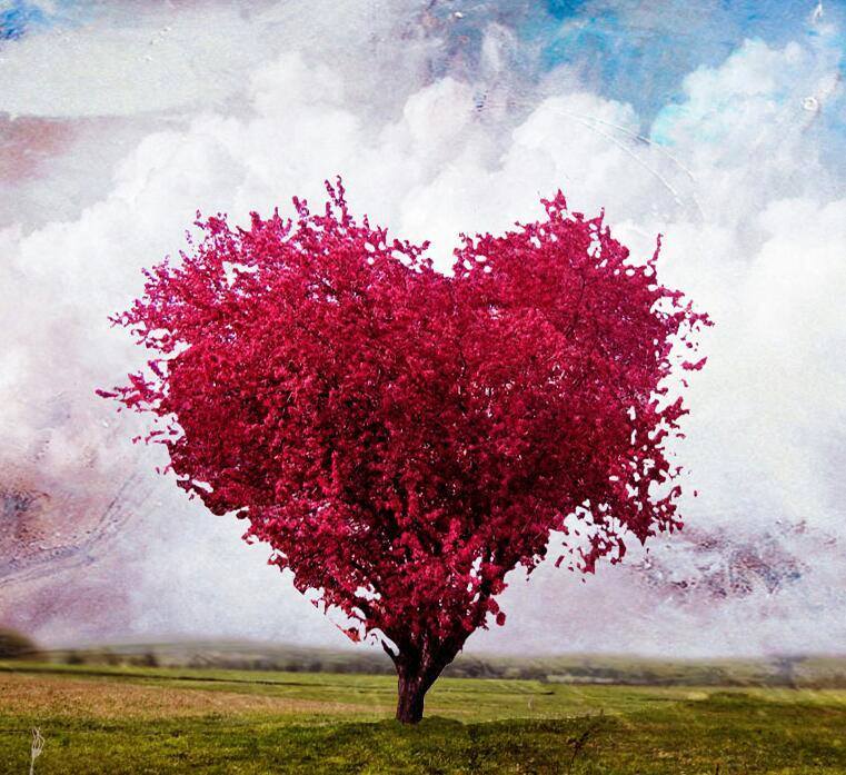 дерево сердце без смс